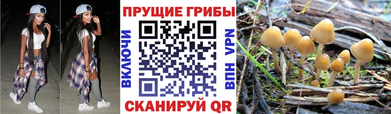 Псилоцибиновые грибы Magic Shrooms  даркнет официальный сайт  Отрадный  закладка 